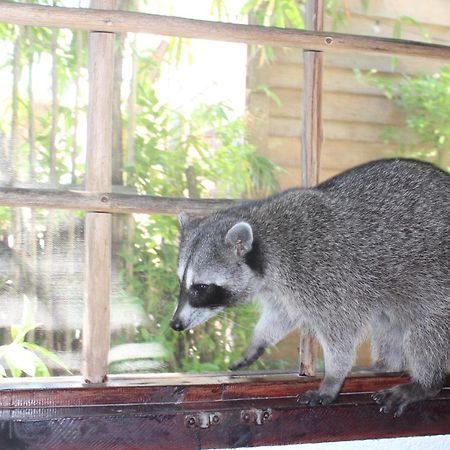 Studio Apartment Close To The Town Isla Holbox Exterior photo