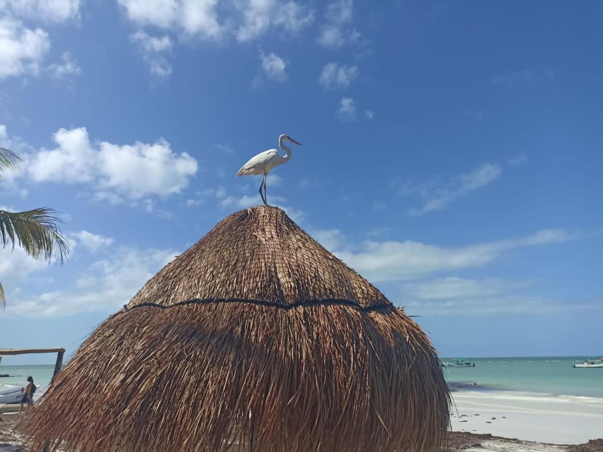 Studio Apartment Close To The Town Isla Holbox Exterior photo